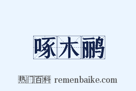 啄木鹂是什么意思的图片